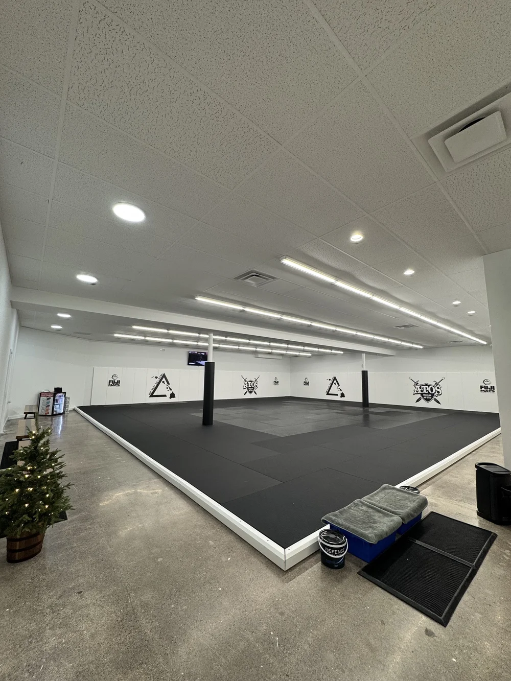 Island BJJ training